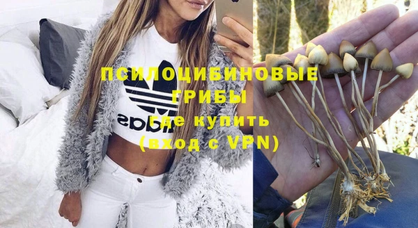 apvp Яровое