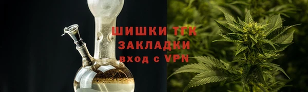 трава Гусиноозёрск
