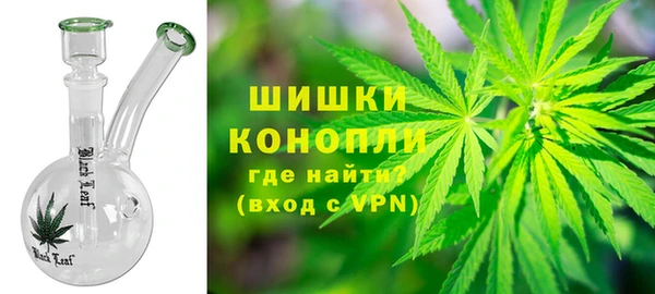 мдпв Гусев