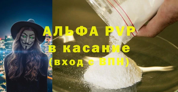 сатива Гусь-Хрустальный