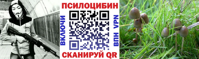 мега как зайти  Дивногорск  Галлюциногенные грибы GOLDEN TEACHER  наркота 