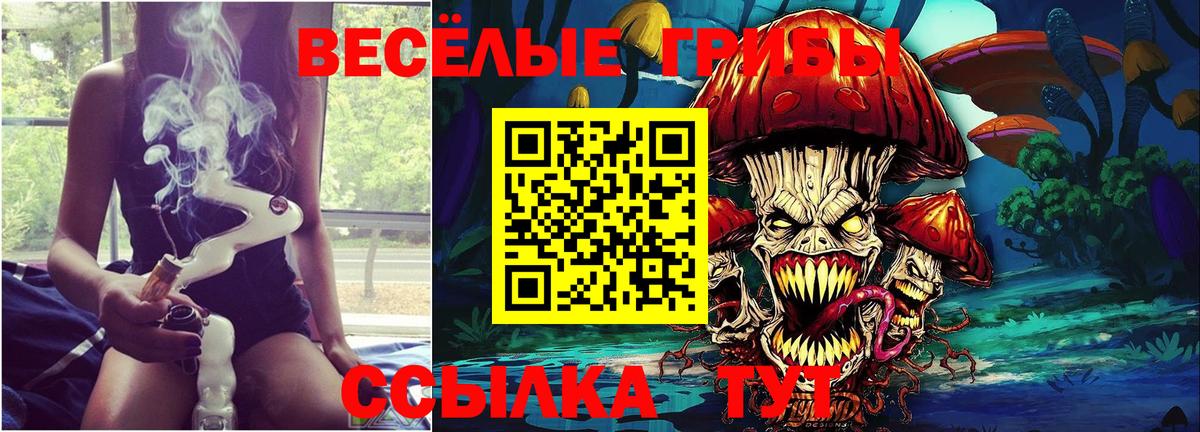 Галлюциногенные грибы Psilocybine cubensis  Дивногорск 