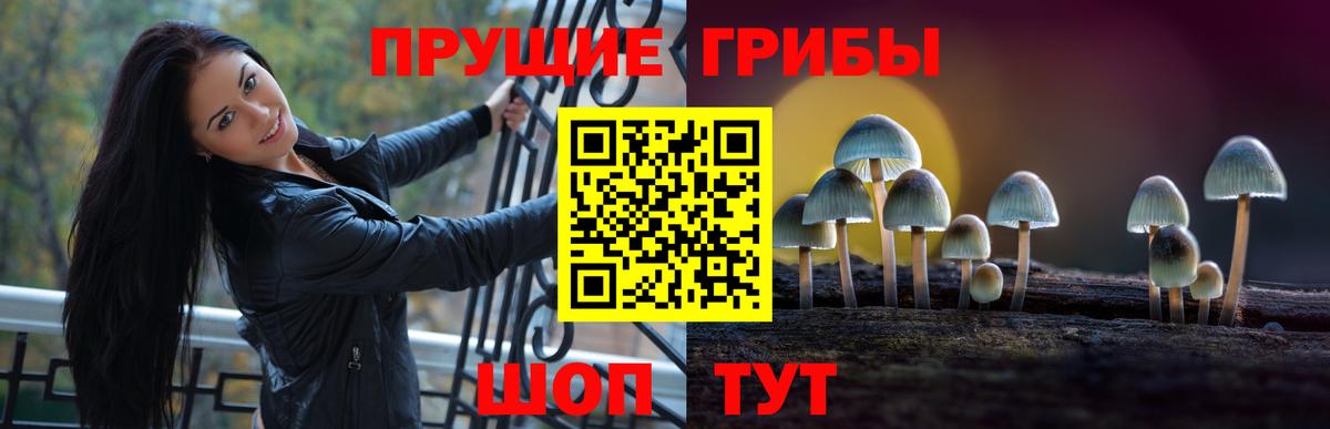 Галлюциногенные грибы прущие грибы Дивногорск