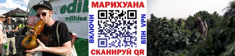 Шишки марихуана планчик  blacksprut tor  Дивногорск 