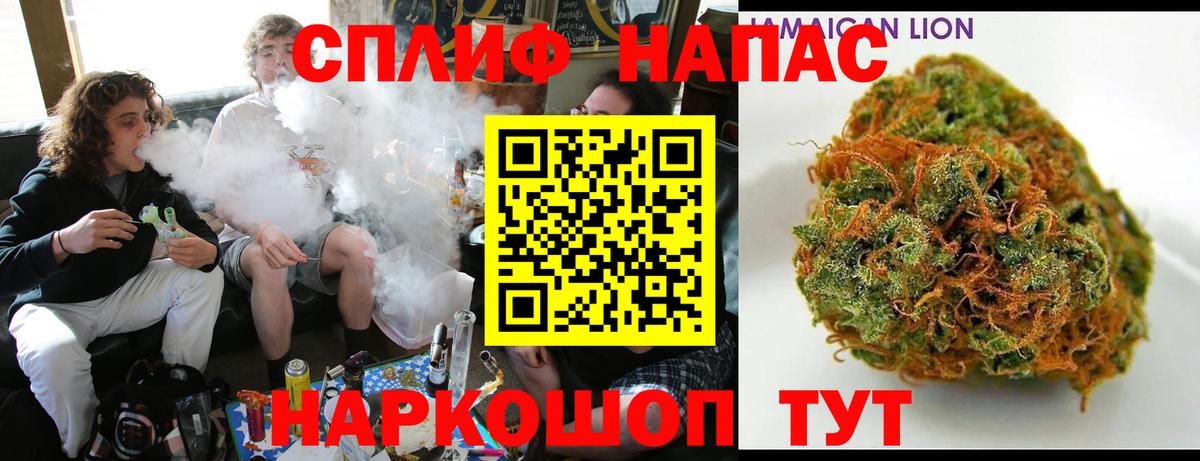 Каннабис семена  Канабис MAZAR  Марихуана Ganja  Дивногорск 